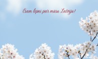 Blue and White Minimalist Hello Spring Instagram Post